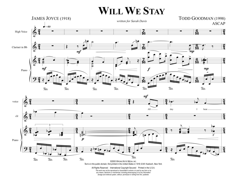 WILL WE STAY by Todd Goodman