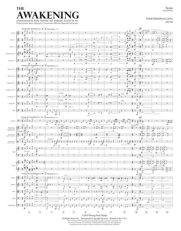 THE AWAKENING - orchestra SCORE, by Todd Goodman