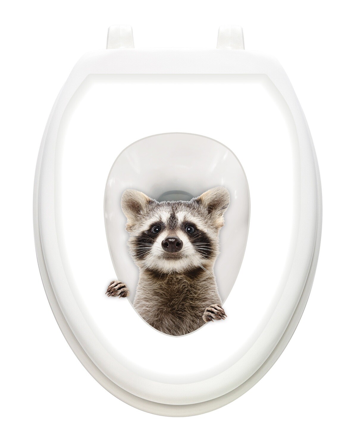 Raccoon