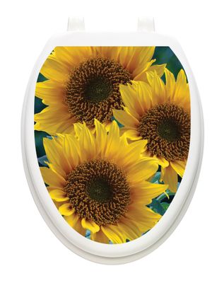 Sun-kissed Sunflowers
