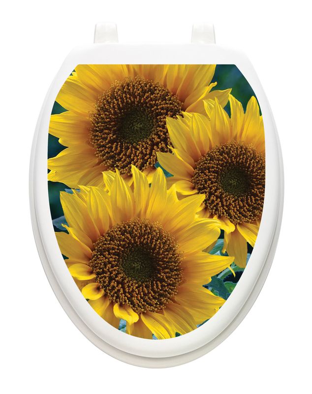 Sun-kissed Sunflowers