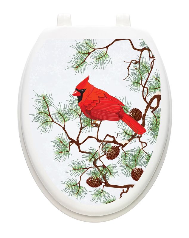 Winter Cardinal