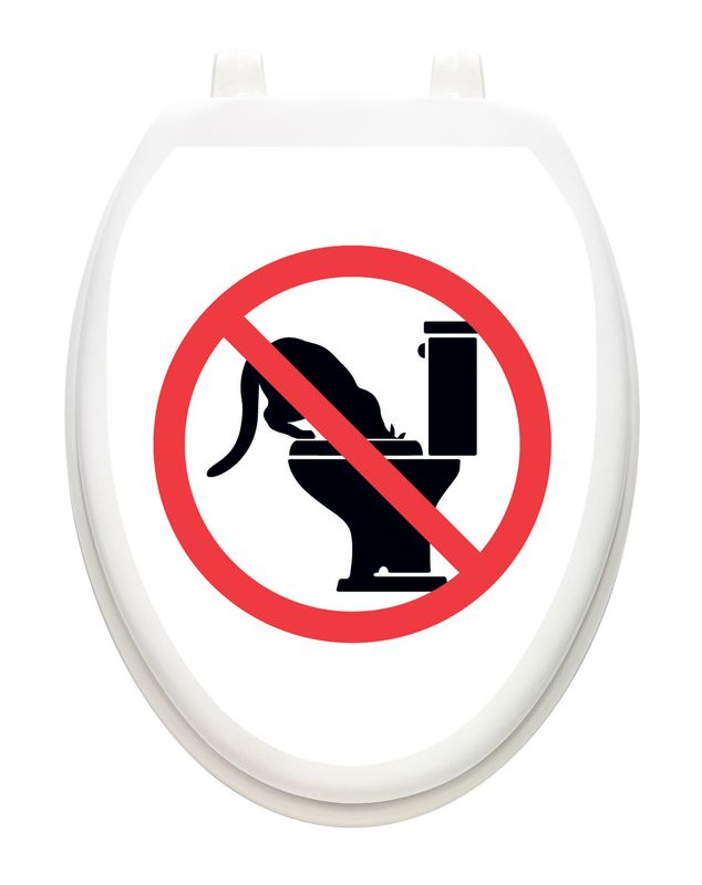 No Kitty Bowl