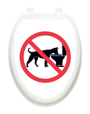 No Doggie Bowl