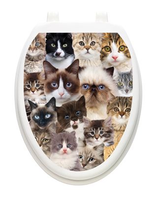 Cats Galore
