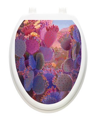 Desert Creations
