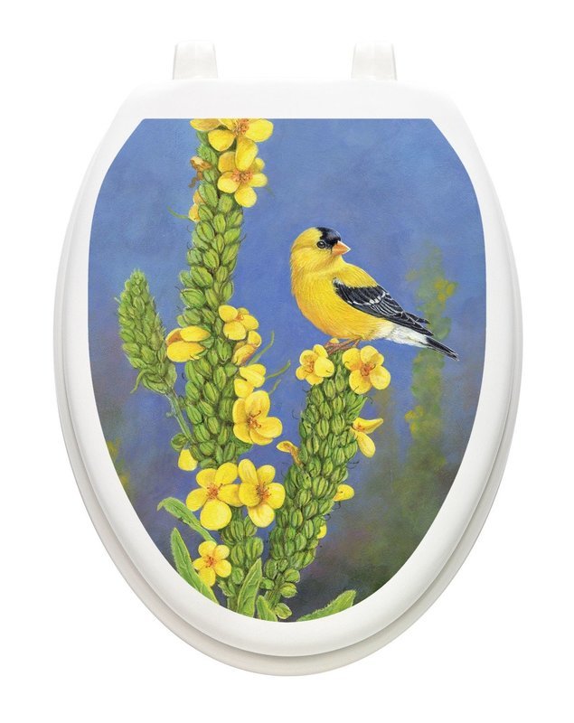 Gold Finch