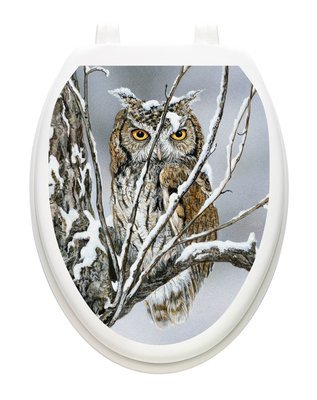 Sheltered Owl