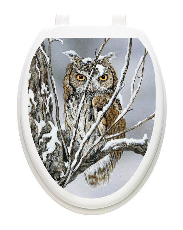 Sheltered Owl