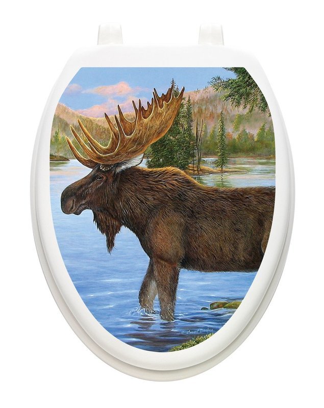 Majestic Moose