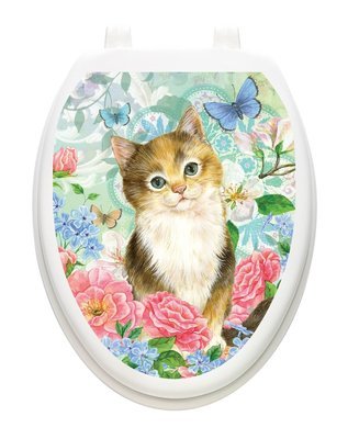 Soft Kitty