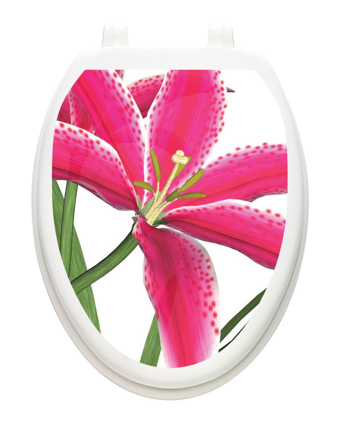 Stargazer Lily