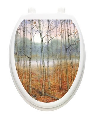 Foggy Forest