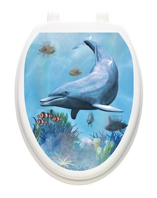 Dolphin Dream