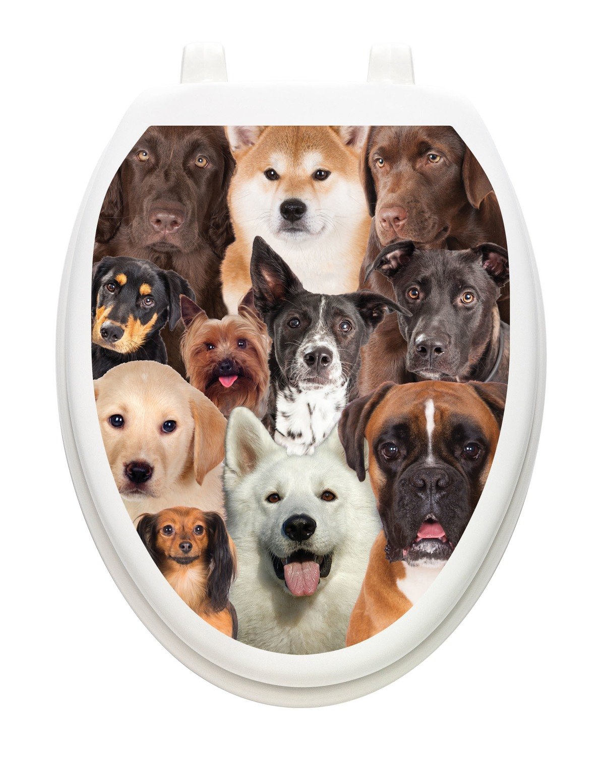 Dogs Galore