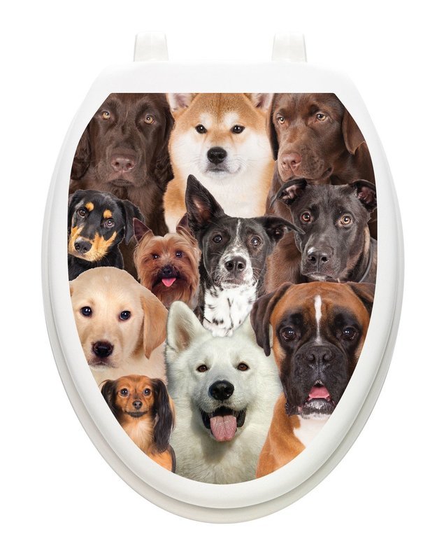 Dogs Galore