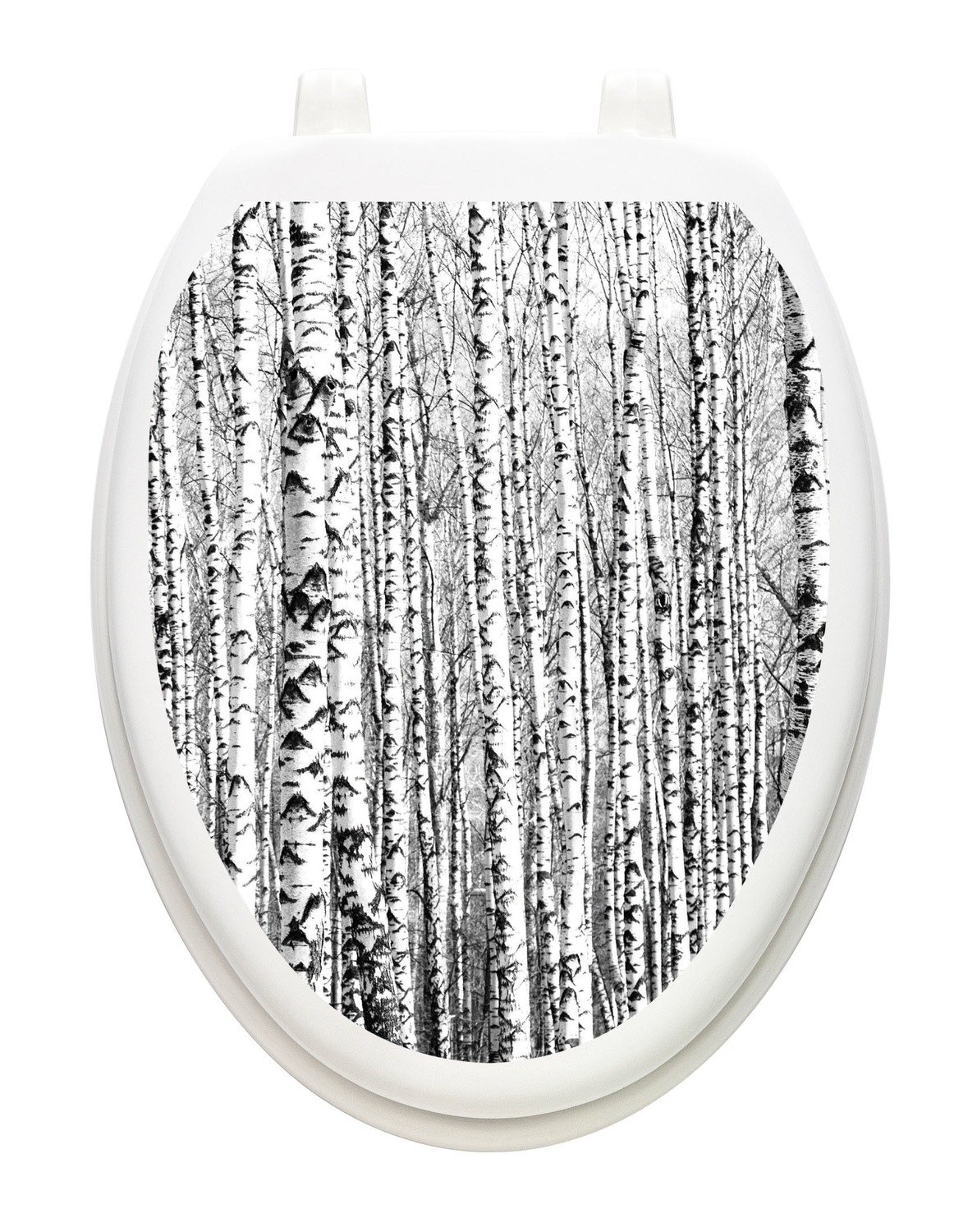 Birch Trees