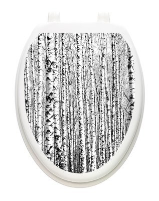 Birch Trees