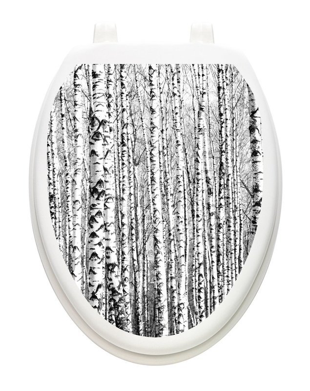 Birch Trees