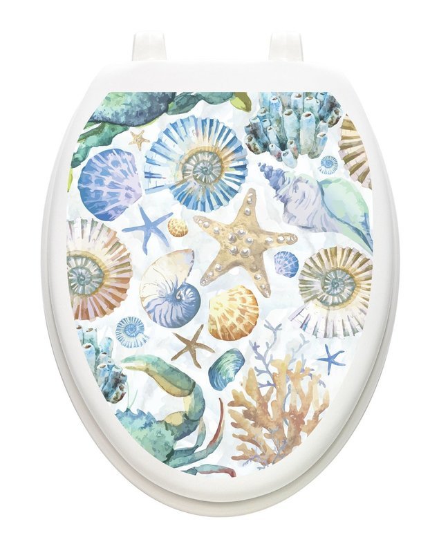 Antigua Seashells