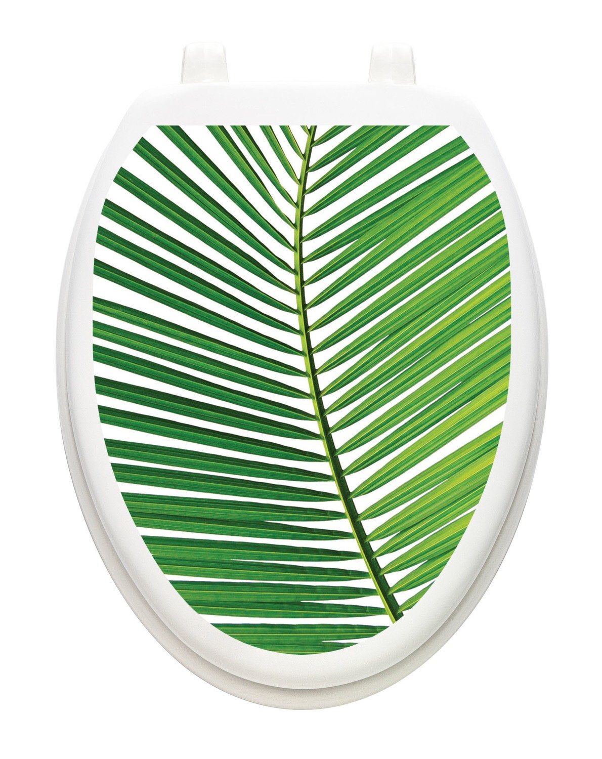 Palm Frond