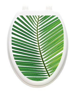 Palm Frond
