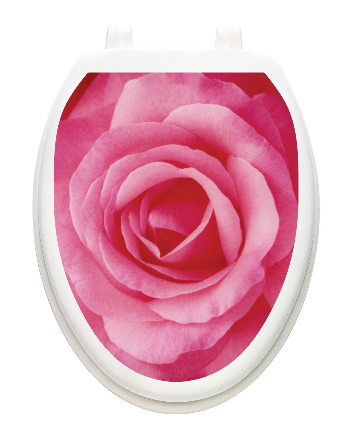 A Single Rose