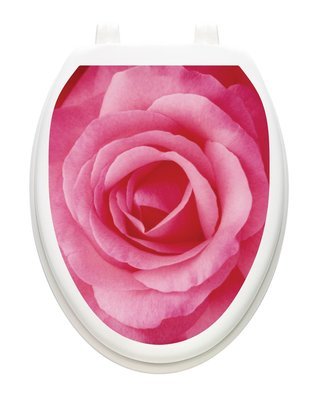 A Single Rose