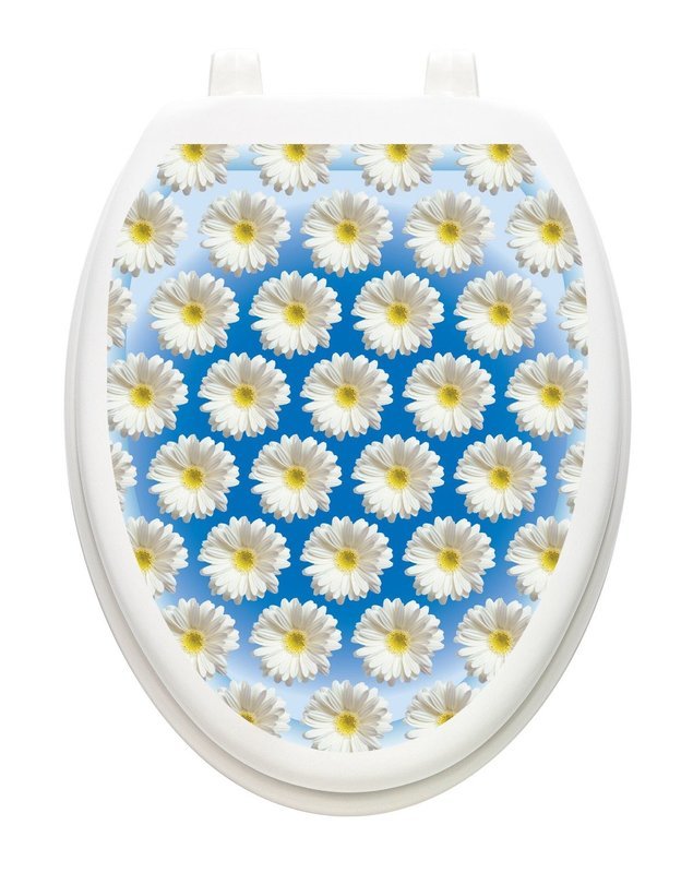 Daisies on Water