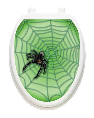 Spider Web