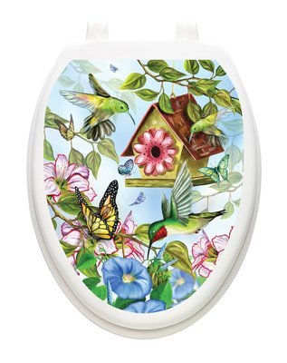 Hummingbirds