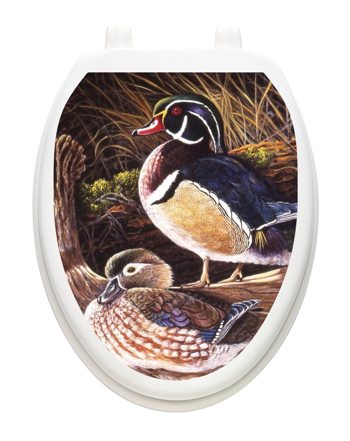 Wood Ducks