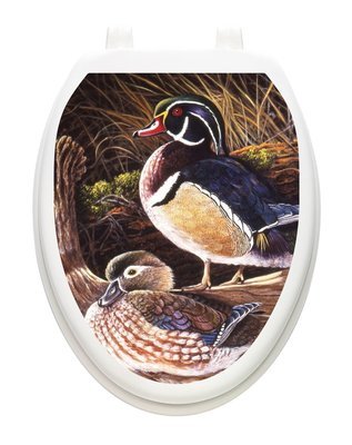 Wood Ducks
