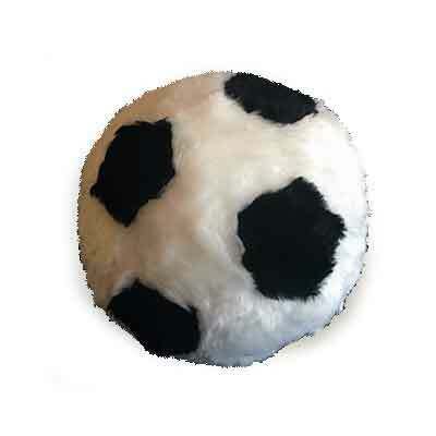 School Soccer Ball