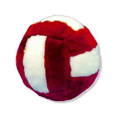 School Volleyball