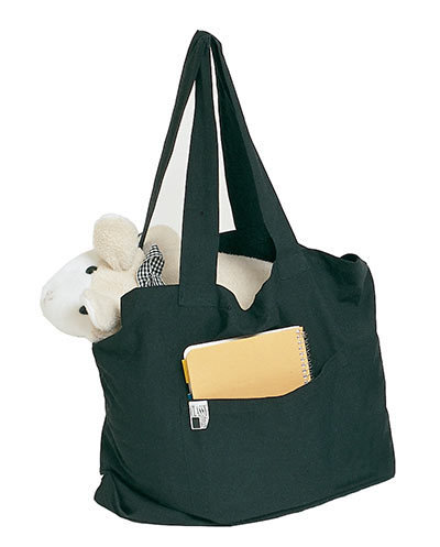 Carry All Book Bag