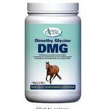 OMEGA ALPHA - Dimethyl glycine DMG, Format: 1kg