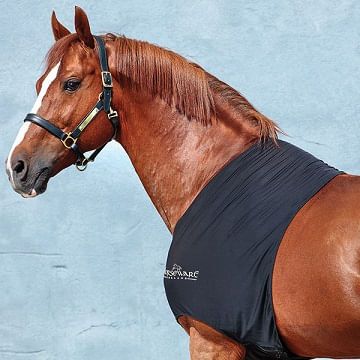 HORSEWARE - Shoulder guards, Color: Noir, Size: XSmall