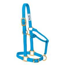 WEAVER - Licou en Nylon 1&#39;&#39; Ajustable Hurricane Blue, Size: Suckling
