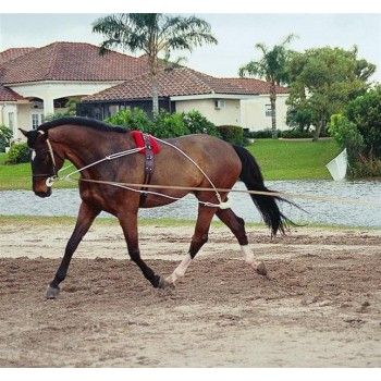 PESSOA - Lanyard training system, Size: Cheval (Full)