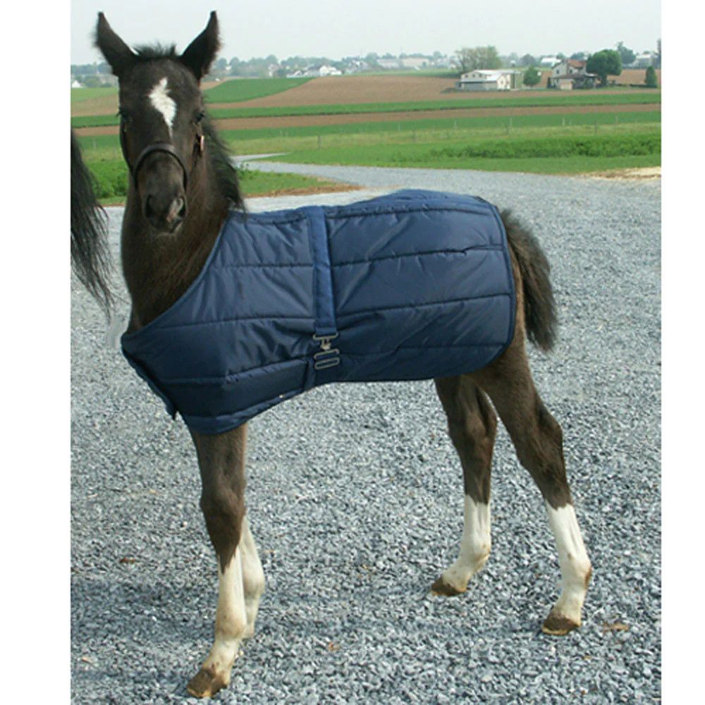 CAN-PRO - Snuggie blanket for Foal, Color: Marine