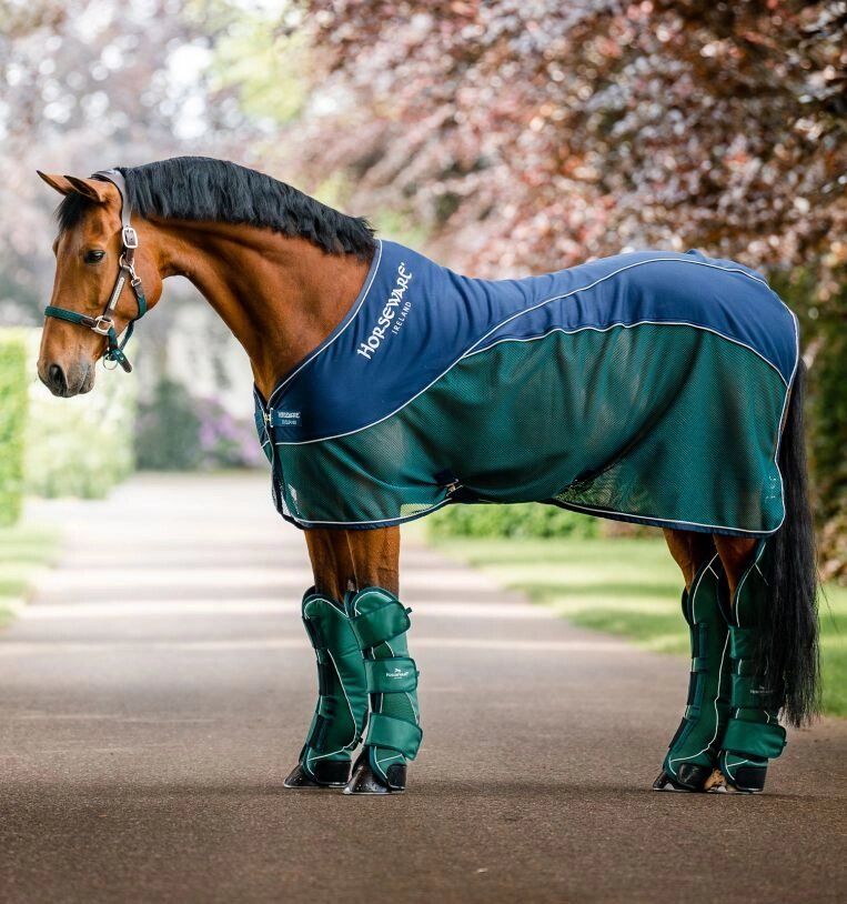HORSEWARE - Signature Sport Cooler (No Fill), Color: Navy/Hunter Green, Size: 69