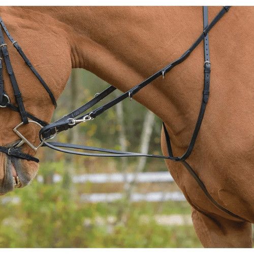 SHIRES - German martingale, Color: Havana, Size: Cob