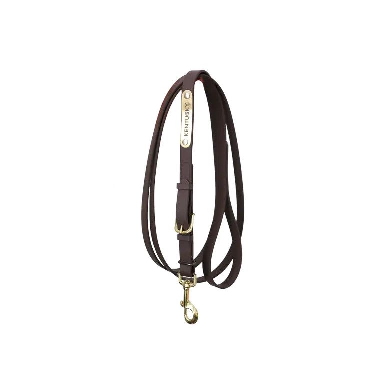 KENTUCKY HORSEWEAR - Longe de Présentation Brun, Size: 200cm