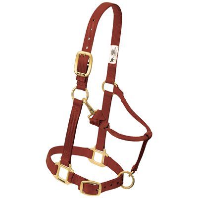 WEAVER - Original Adjustable Cinnamon Chin &amp; Throat Snap 1&#39;&#39; Halter, Size: Suckling