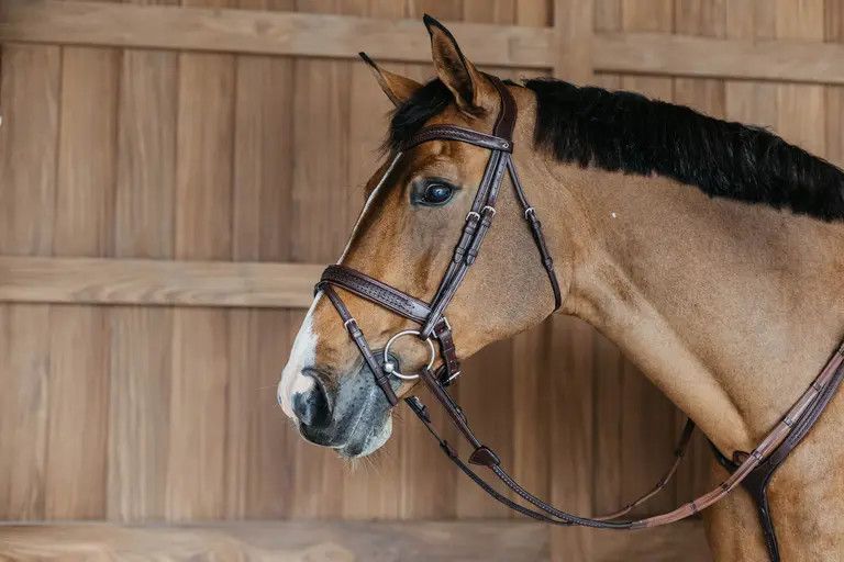 DY&#39;ON - Plaited Flash Noseband Bridle with Pull Back, Color: Brun, Size: Full