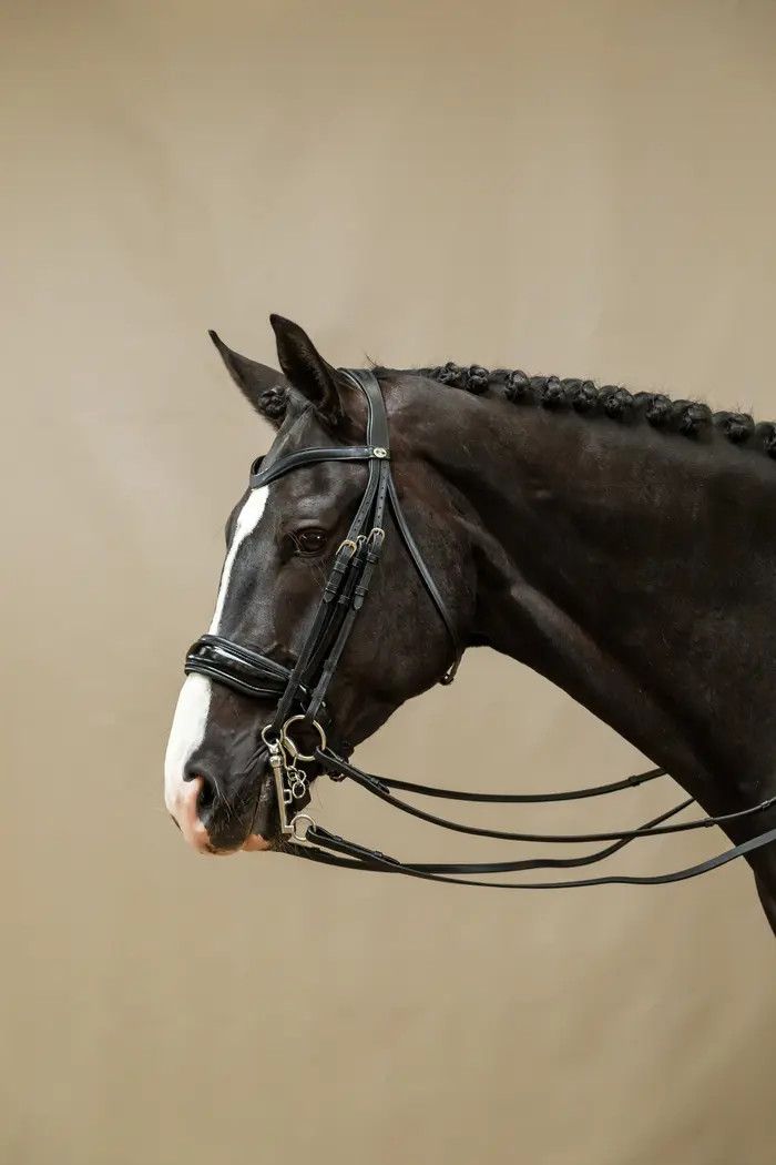 DY&#39;ON - Patent Large Crank Noseband Double Bridle, Color: Noir, Size: Full