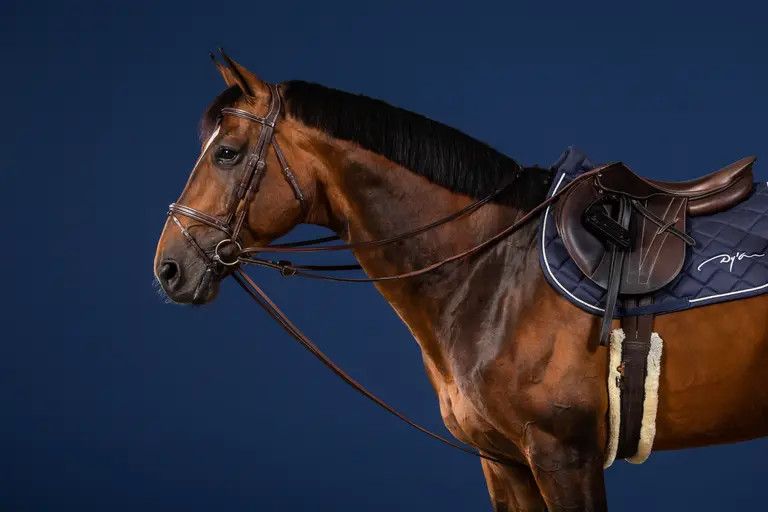 DY&#39;ON - US Jumping Full Leather Draw Reins 1/2, Color: Brun, Size: Full
