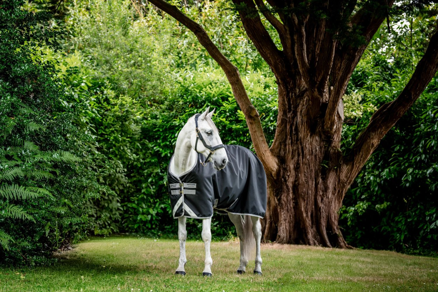 HORSEWARE - Amigo Bravo 12 T/O 100g Black