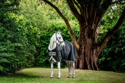 HORSEWARE - Amigo Bravo 12 T/O 100g Black